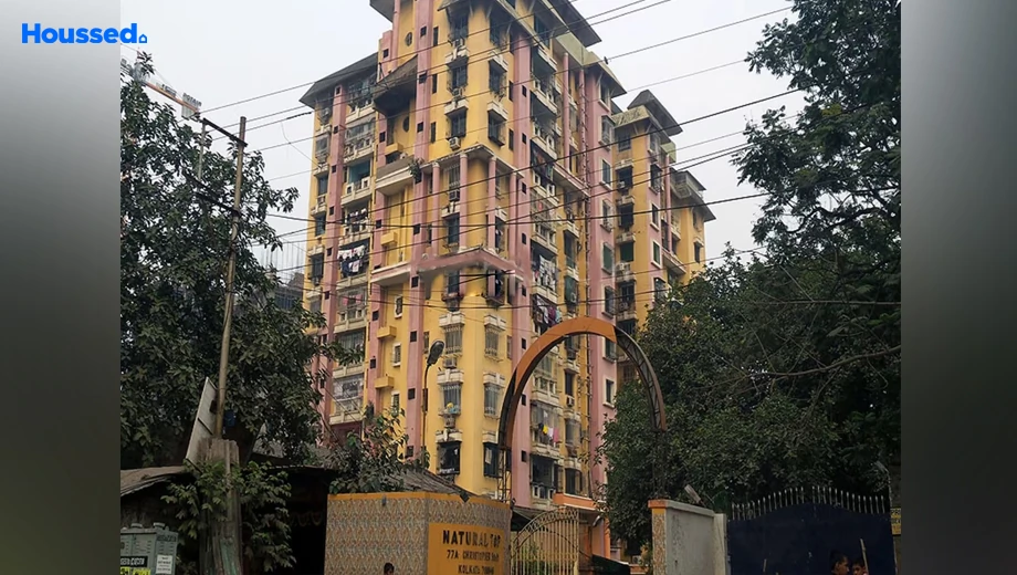 Project Image of Natural Top in Tangra, Kolkata - Image 350453