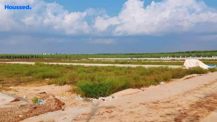 Project Image of Land Pragna Green Park in Shamirpet, Hyderabad - Image 350608