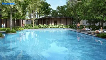 Amenities of Alembic Cloud Forest - Image 351296