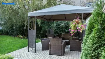 Amenities of Diamond Blossoms - Image 351455