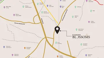 Location of Diamond Blossoms - Image 351460