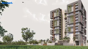 Project Image of Magnolia Delight - Image 351528
