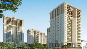 Project Image of Prestige Fernleaf - Image 352370