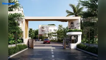 Project Image of Grupe Elara - Image 352837
