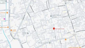 Location of BCG Golden Orchids 2 - Image 353327