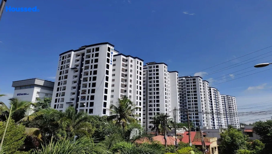 Project Image of Olive Courtyard in Kakkanad, Kochi - Image 353505