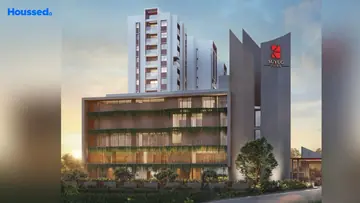 Project Image of Suyug Saffron - Image 354136