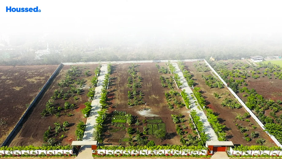 Project Image of Myron Western Blossoms in Shankarpally, Hyderabad - Image 355109