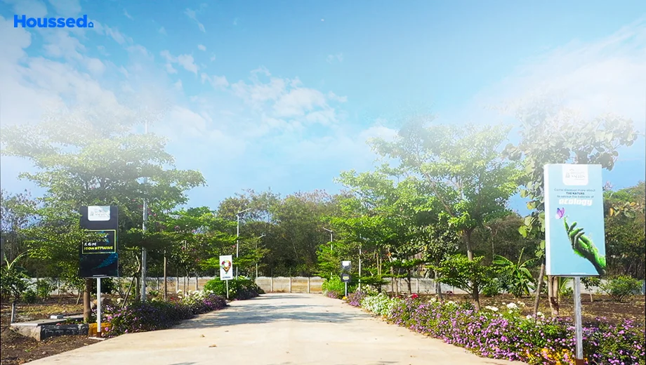 Project Image of Myron Western Blossoms in Shankarpally, Hyderabad - Image 355108