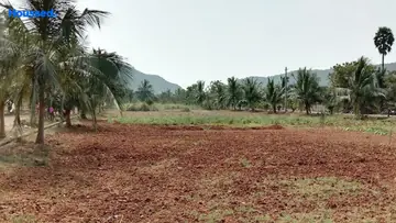 Project Image of Siri Venkateswara Balaji Hill County - Image 355902