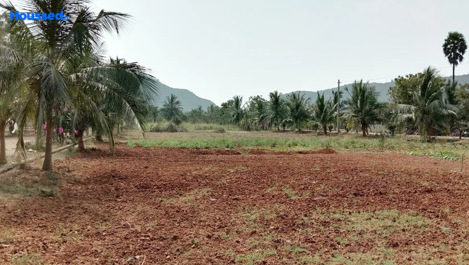 Project Image of Siri Venkateswara Balaji Hill County in Paravada, Visakhapatnam - Image 355902