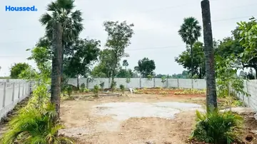 Project Image of Siyora Shreyas - Image 357350