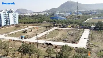 Project Image of Kalindi Pride - Image 362519