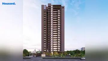 Project Image of NB Palm - Image 364793