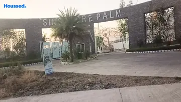 Sarthak Singapore Palm