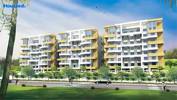 Project Image of Eisha Erica - Image 373512