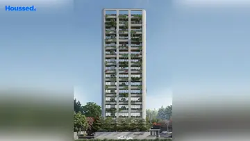 Project Image of Olive XIV - Image 374590