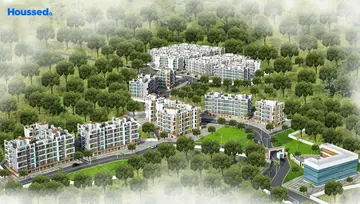 Project Image of Green City Marigold - Image 20532