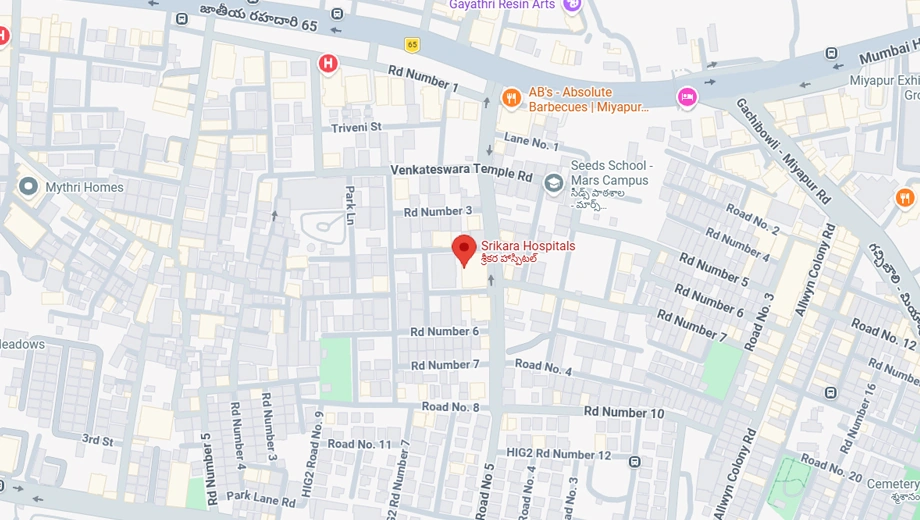 Location of Aditi Sri Krishna Dhamam in Madinaguda, Hyderabad - Image 376962