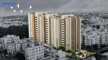 Project Image of Nexrise Joy - Image 377386