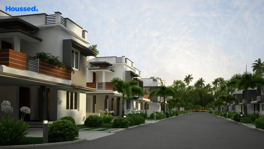 Project Image of Anna Casa Bonitta - Image 381241