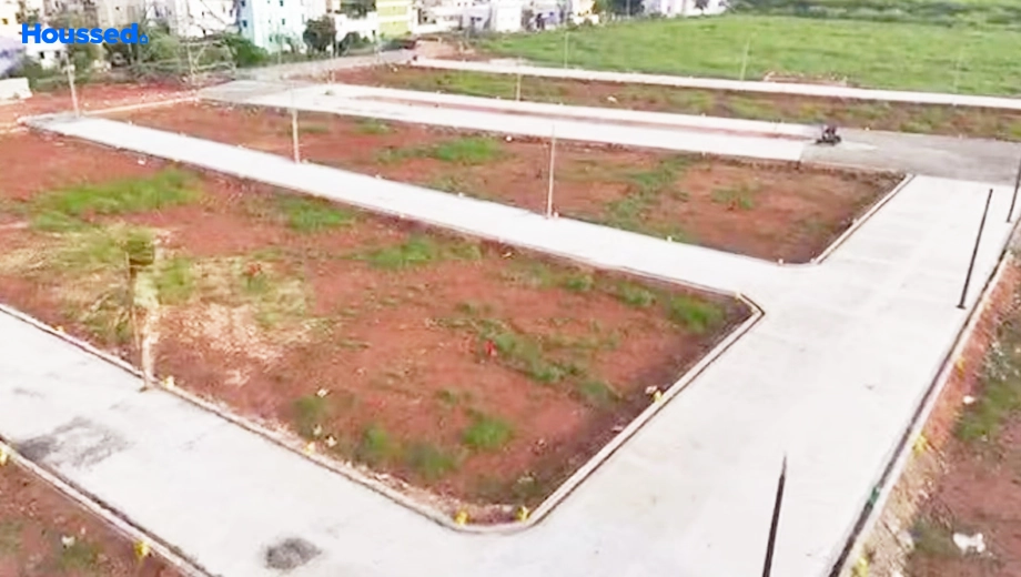 Project Image of Saradeuz Ritz - Image 378412