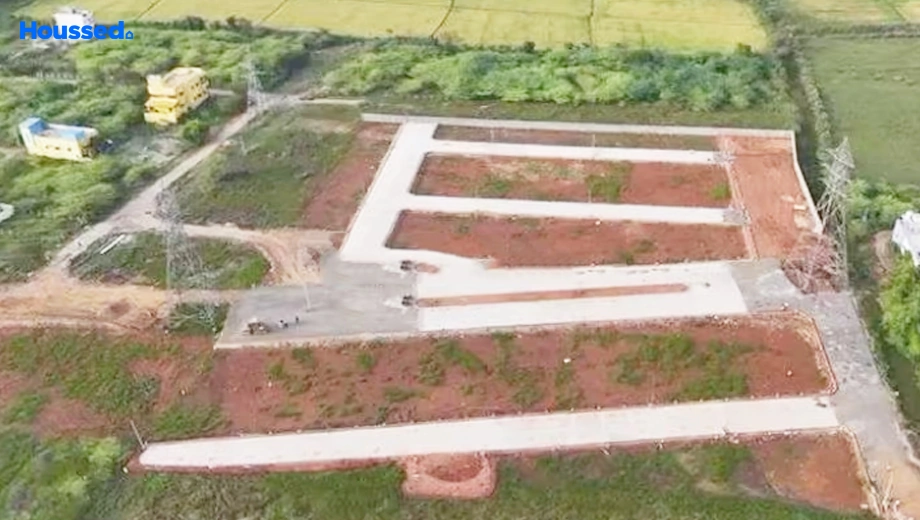 Project Image of Saradeuz Ritz - Image 378411