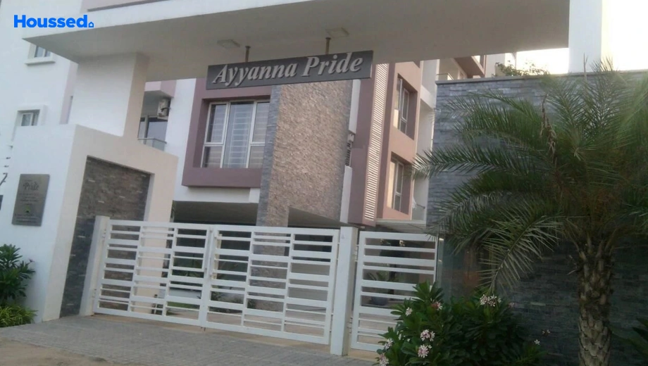 Project Image of Ayyanna Pride - Image 378681