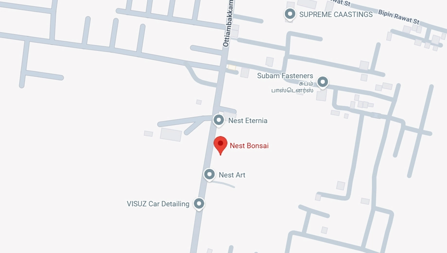 Location of Nest Bonsai - Image 379848