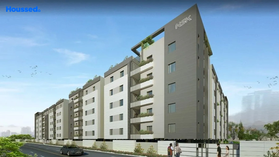 Project Image of NSK Exotica - Image 383364
