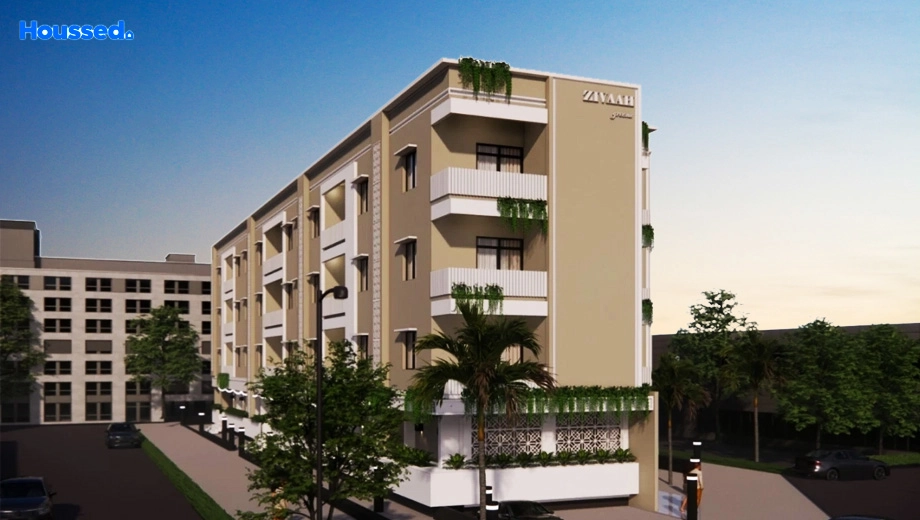 Project Image of Zivaah Flemingo - Image 384356