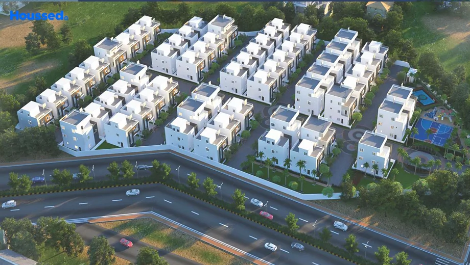 Project Image of Prima Paradiso - Image 383635