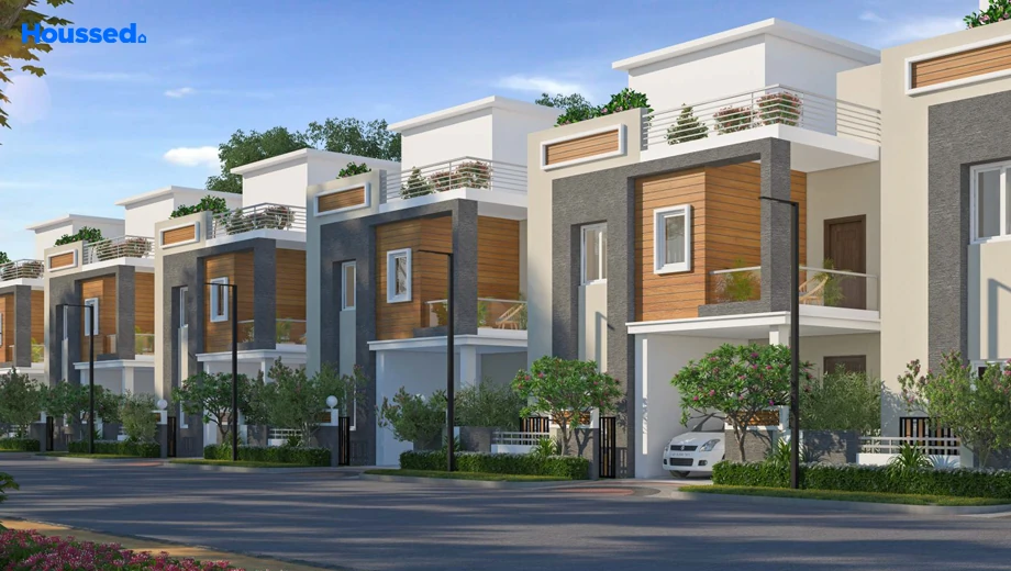 Project Image of Prima Paradiso - Image 383633