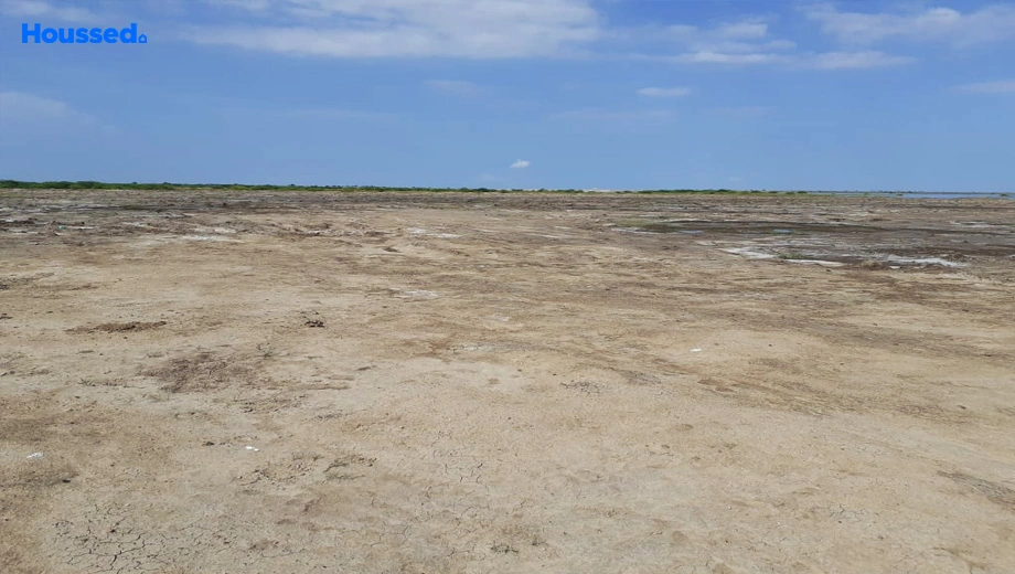 Project Image of 7 Oak Platinum 8 in Dholera, Ahmedabad - Image 384571