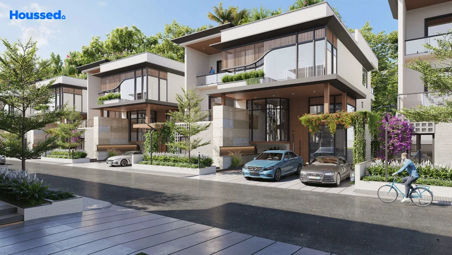 Project Image of Grupe Lios - Image 385821