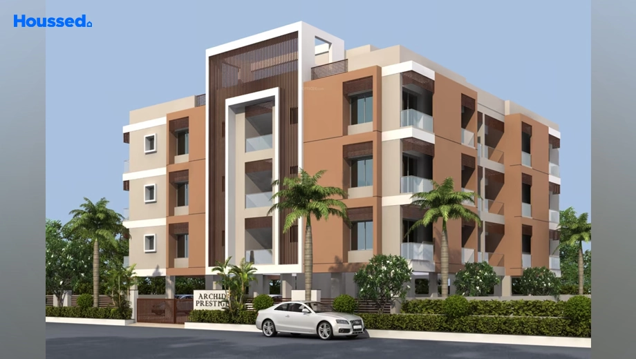 Project Image of Archid Prestige - Image 385002