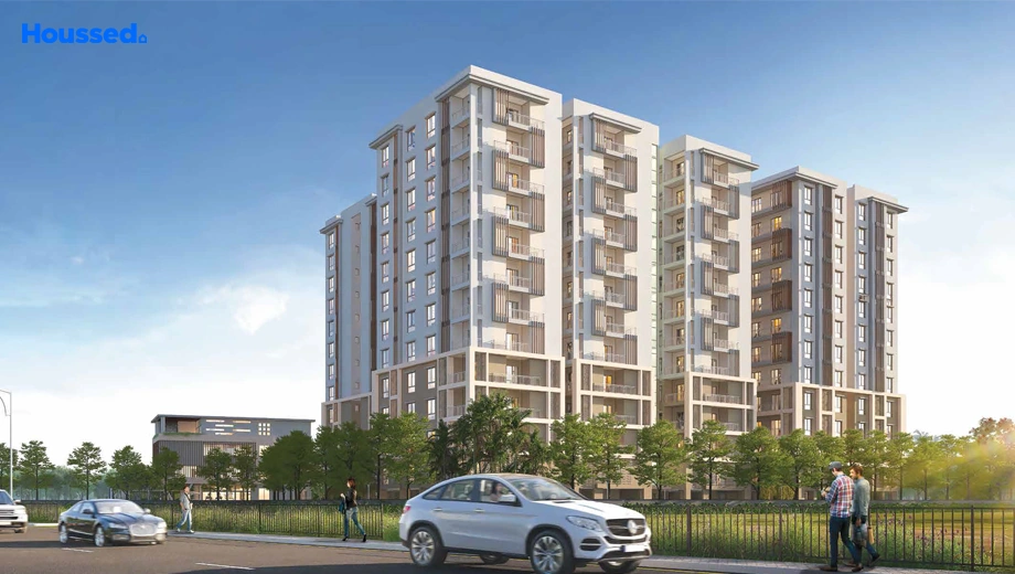 Project Image of SRC Signature - Image 385369