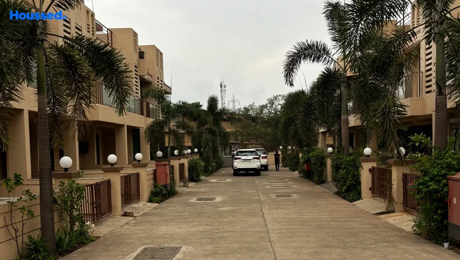 Project Image of Sun Palms - Image 387267