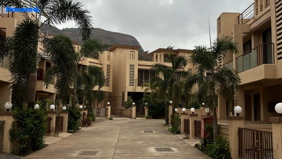 Project Image of Sun Palms - Image 387263