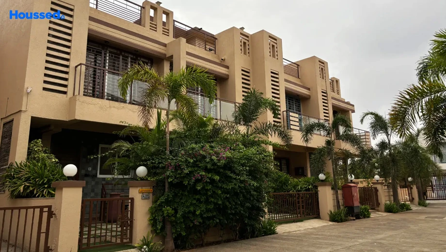 Project Image of Sun Palms - Image 387264