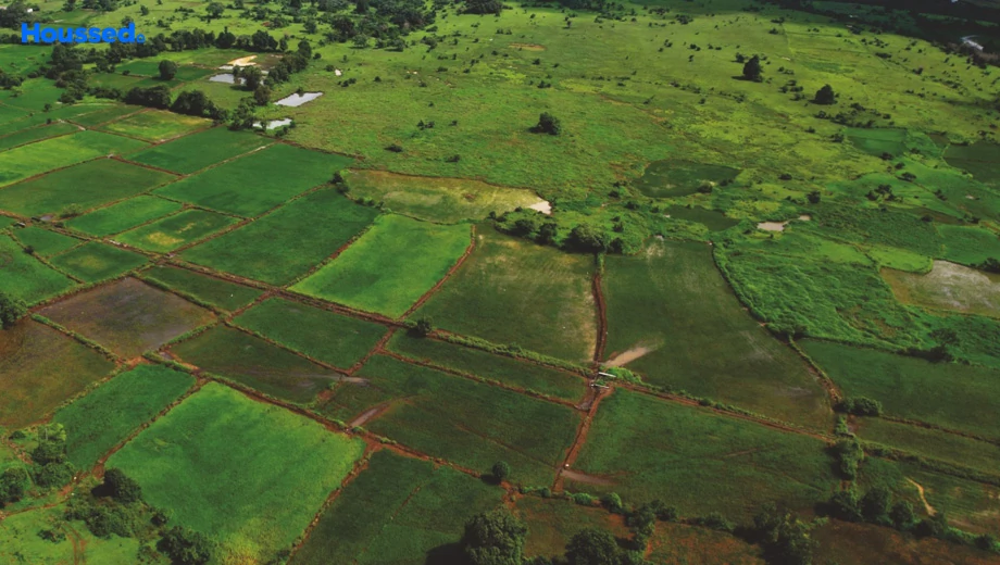 Project Image of Amogham Lonavalley Farm Plots - Image 386177