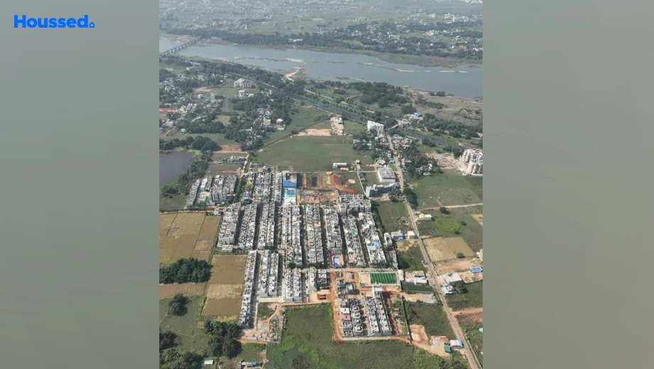 Project Image of Panda Gatikrushna Green 2 - Image 386485