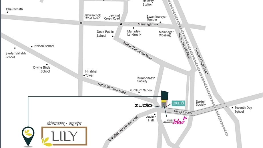 Location of Vandemataram Mahadev Lily - Image 386350