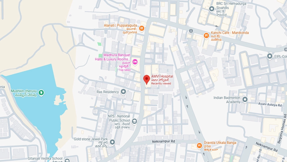 Location of Sri Dhatri Dahlia - Image 387457