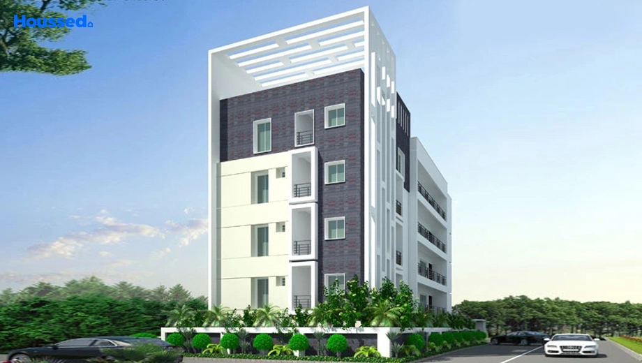 Project Image of Sri Dhatri Dahlia - Image 387455