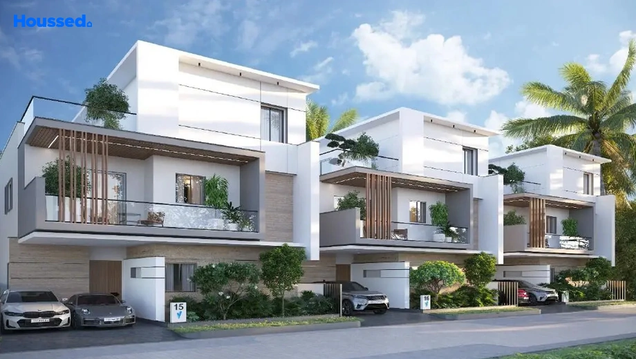 Project Image of Vessella Palms - Image 387547
