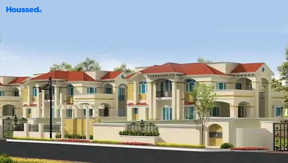 Project Image of Ambrosia Grandeur - Image 387584