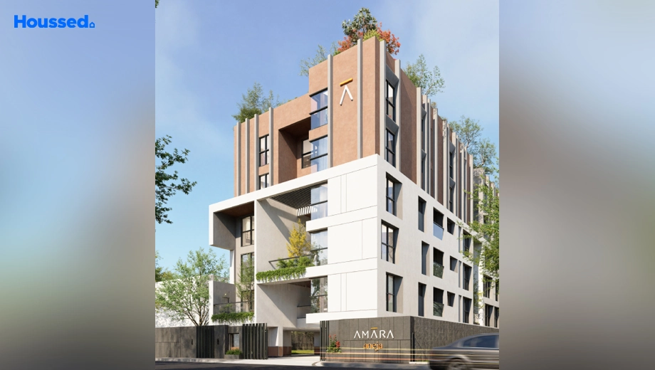 Project Image of Amara Aneja - Image 387141