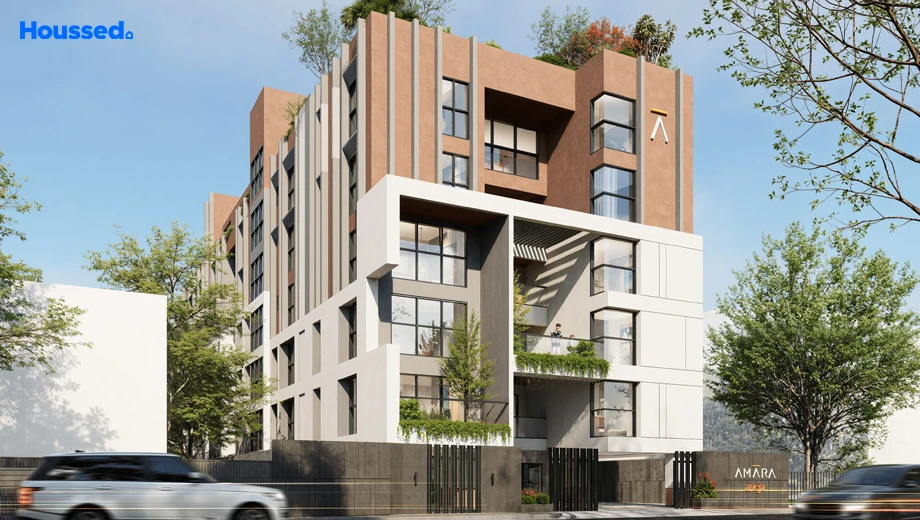 Project Image of Amara Aneja - Image 387142