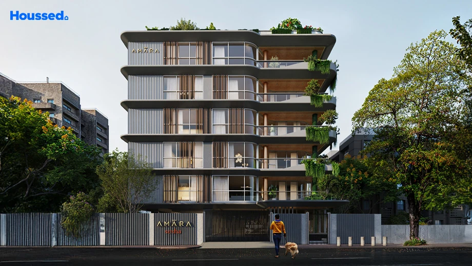 Project Image of Amara Sesha - Image 387458